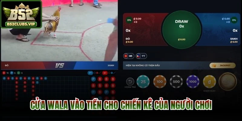 Cửa Wala vào tiền cho chiến kê của người chơi
