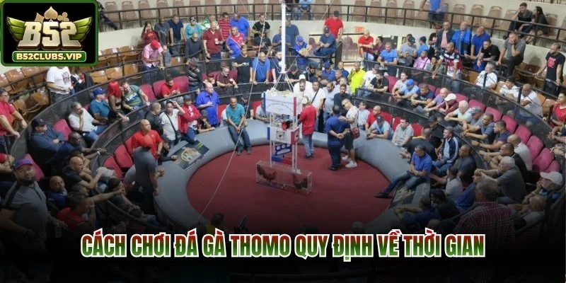 Cách chơi đá gà thomo quy định về thời gian
