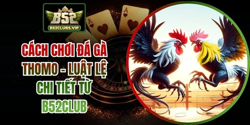 cách chơi đá gà thomo